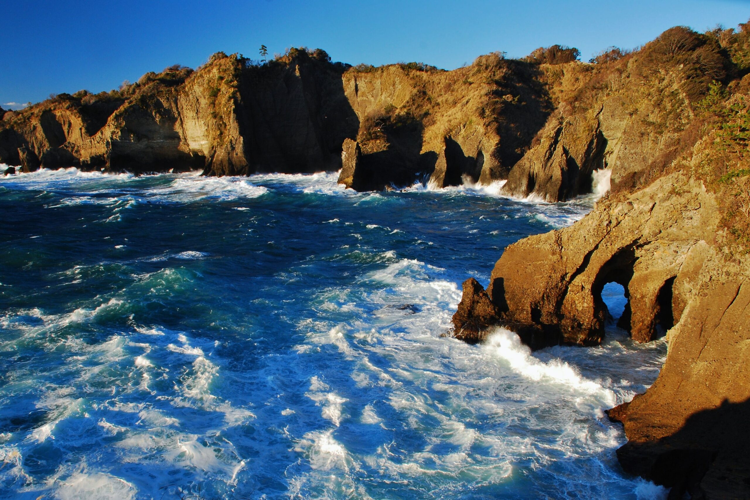 D株式会社様 実績例